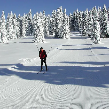 Farm Rotovnik - Plesnik مزرعة للإقامة سلوفينج غرادتس