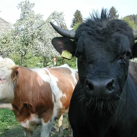 Séjour à la ferme Farm Rotovnik - Plesnik