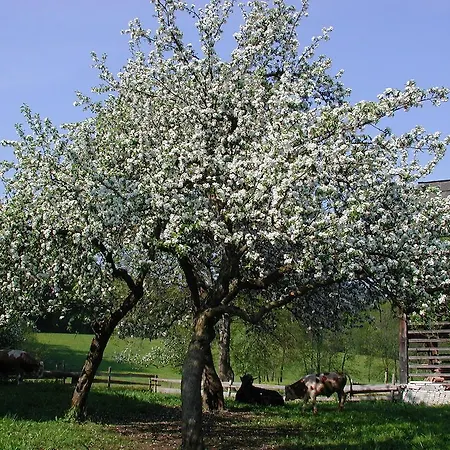 Séjour à la ferme Farm Rotovnik - Plesnik *
