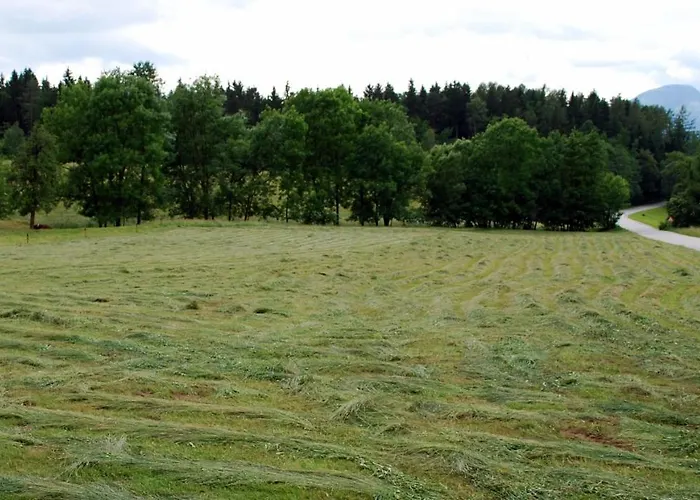 Farm Rotovnik - Plesnik مزرعة للإقامة