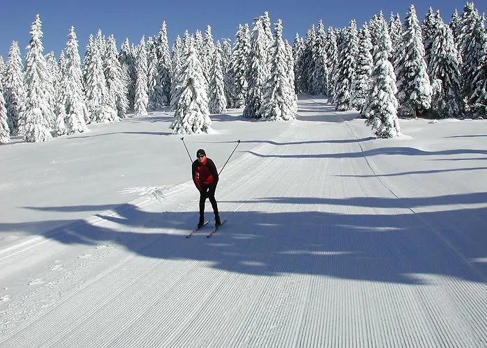 Farm Rotovnik - Plesnik مزرعة للإقامة سلوفينج غرادتس