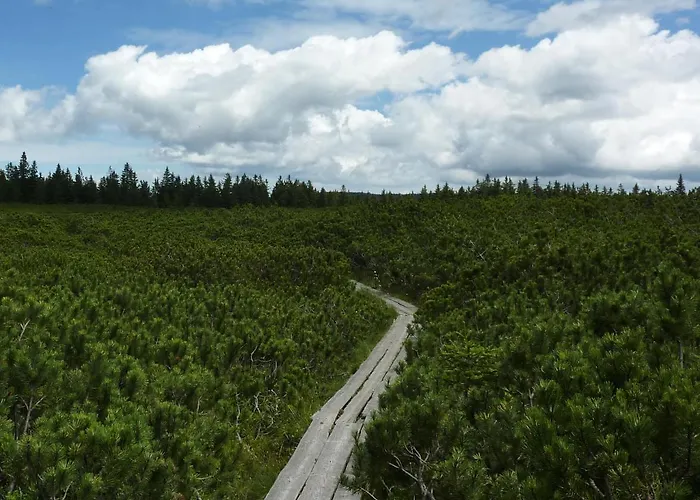 Farm Rotovnik - Plesnik Slovenj Gradec