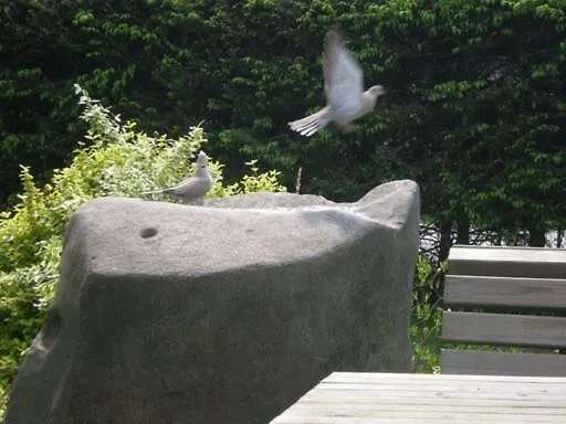 مزرعة للإقامة Farm Rotovnik - Plesnik سلوفينج غرادتس