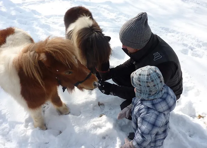 Farm Rotovnik - Plesnik مزرعة للإقامة