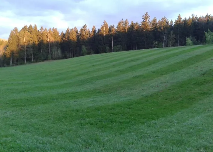 Farm Rotovnik - Plesnik