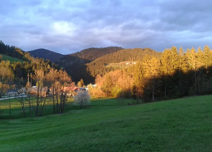 Alloggio per agriturismo Farm Rotovnik - Plesnik *