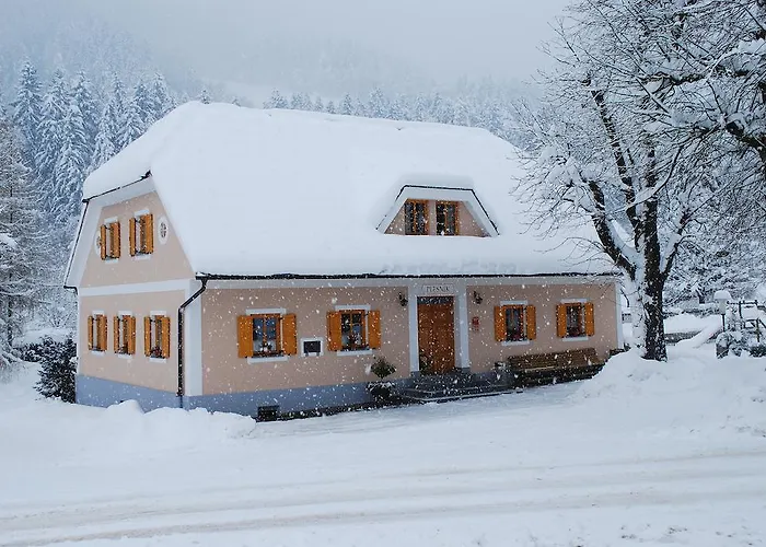 مزرعة للإقامة Farm Rotovnik - Plesnik