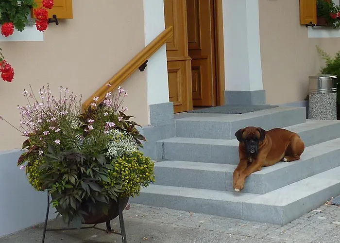 Farm Rotovnik - Plesnik 슬로벤 그라데츠