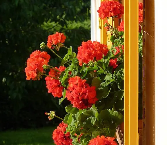 مزرعة للإقامة Farm Rotovnik - Plesnik *