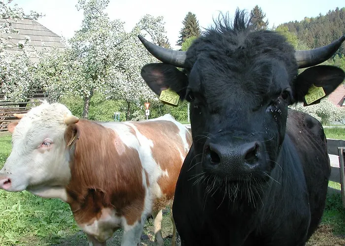 مزرعة للإقامة Farm Rotovnik - Plesnik