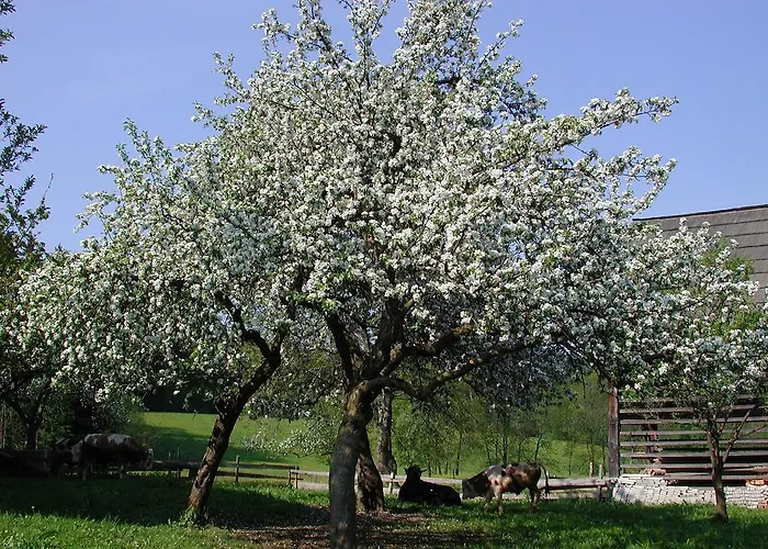 팜스테이 Farm Rotovnik - Plesnik *