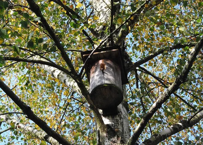 Alloggio per agriturismo Farm Rotovnik - Plesnik *