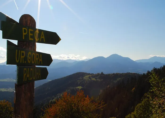 Alloggio per agriturismo Farm Rotovnik - Plesnik Slovenj Gradec