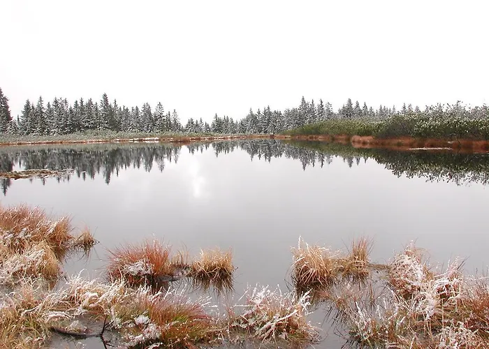 Alloggio per agriturismo Farm Rotovnik - Plesnik *