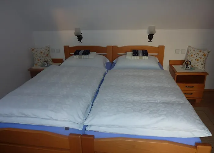 Alloggio per agriturismo Farm Rotovnik - Plesnik