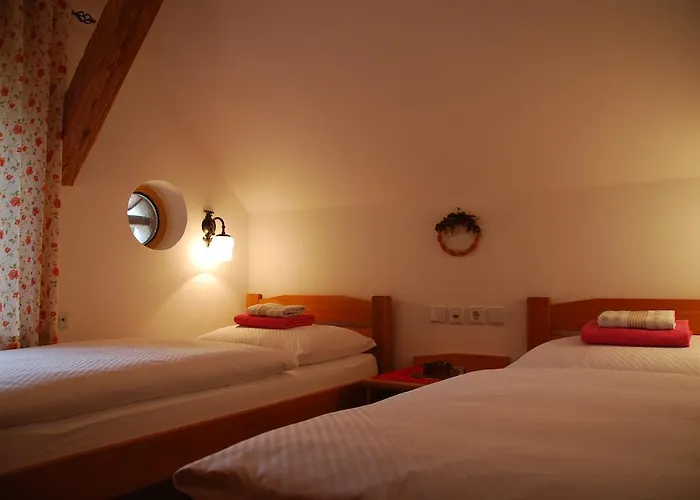 Farm Rotovnik - Plesnik